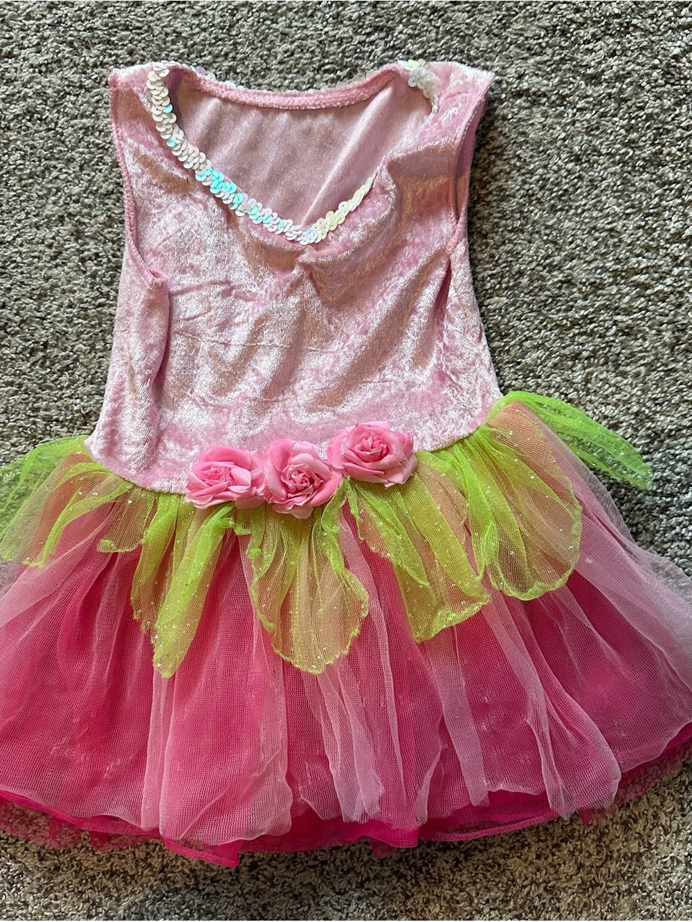 Princess Pink and Green Floral Tutu Dress Costume